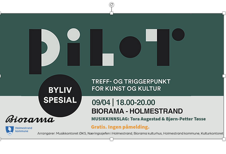 Pilot 